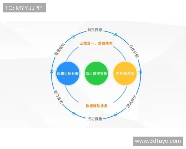 南京与成都排球队赛后复盘团队协作的成功与不足分析