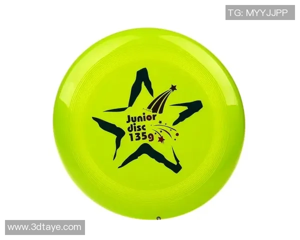 飞盘新手攻略：配合入门指南